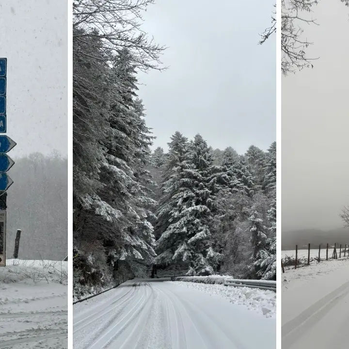 Ecco la neve! Le Serre vibonesi si svegliano sotto una coltre bianca. E non è finita: le previsioni meteo\n
