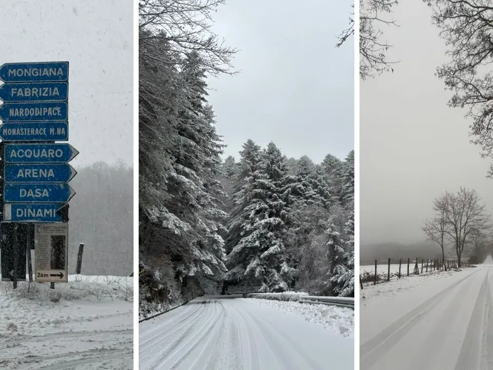 Ecco la neve! Le Serre vibonesi si svegliano sotto una coltre bianca. E non è finita: le previsioni meteo