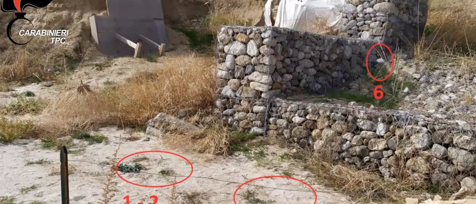 Inchiesta Scylletium, tutti liberi i presunti predatori di beni archeologici: lo ha deciso il Tribunale del Riesame\n