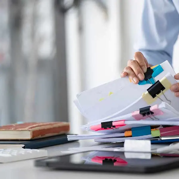 Mendicino unico comune del Sud Italia ammesso ai tirocini InPa\u00A0\n