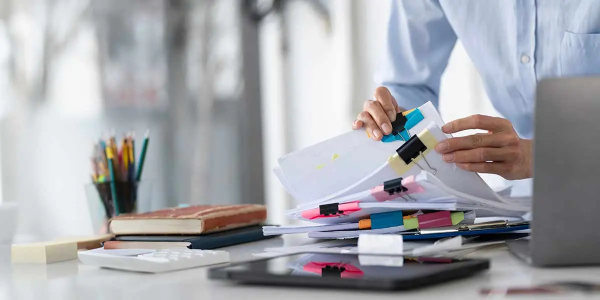 Mendicino unico comune del Sud Italia ammesso ai tirocini InPa\u00A0\n