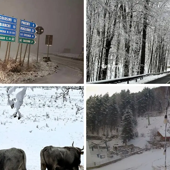 Lo spettacolo della neve in Sila e sul Pollino. Tregua nel fine settimana, poi tornano i fiocchi\n