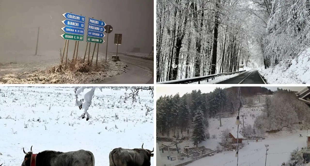 Lo spettacolo della neve in Sila e sul Pollino. Tregua nel fine settimana, poi tornano i fiocchi\n