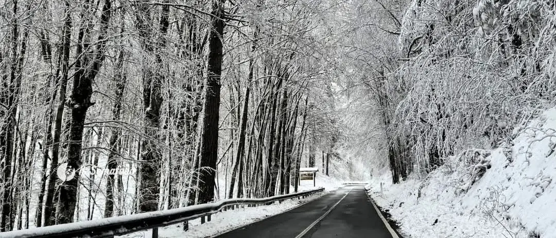 Meteo Cosenza, piogge intense sul Tirreno e neve sui monti oltre i 1300 metri\n