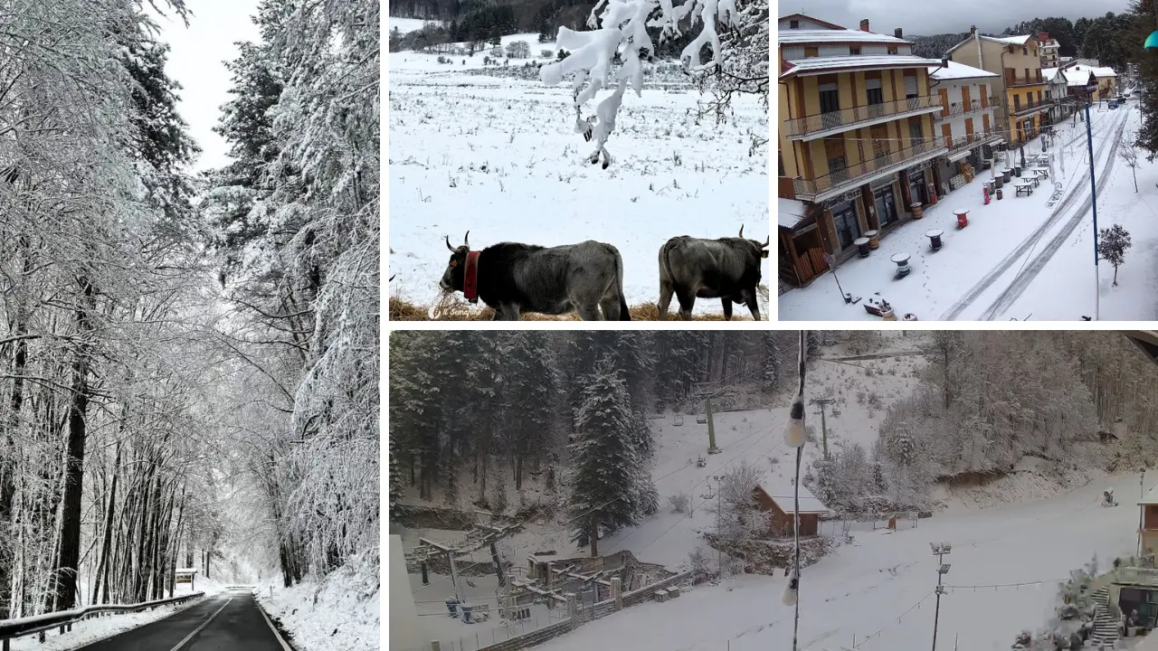 Calabria imbiancata, la magia della neve su Pollino e Sila. Fiocchi anche a Serre e Gambarie: la fotogallery