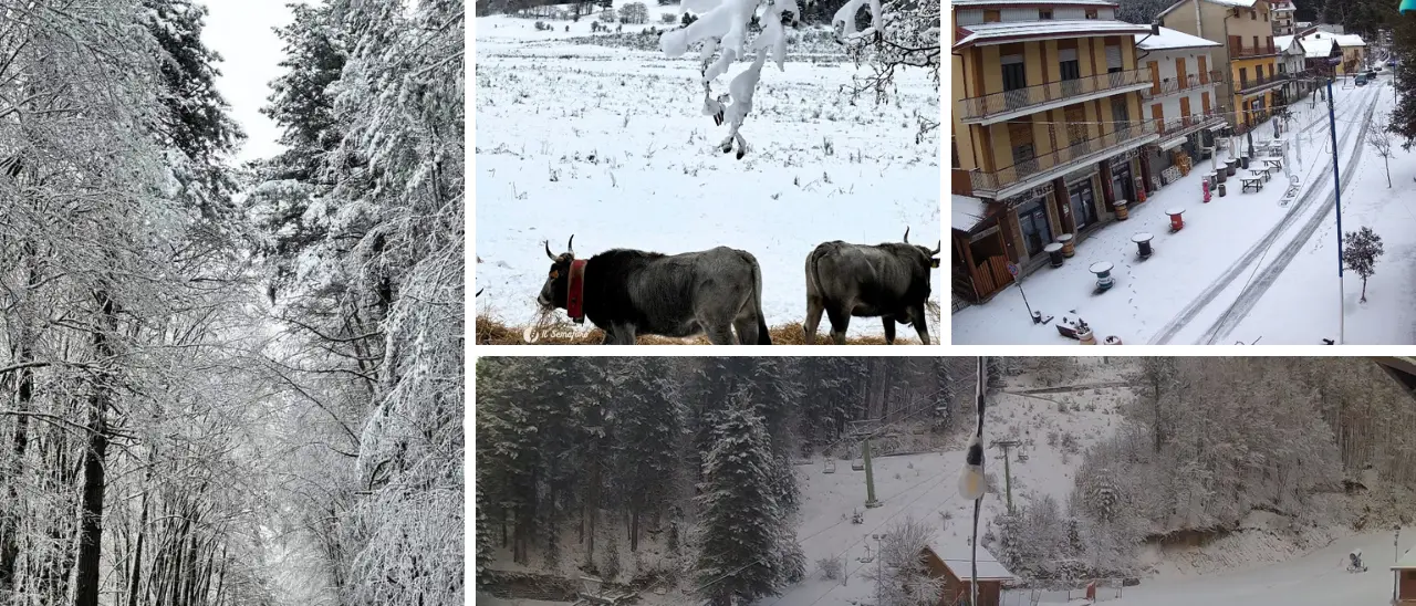 Calabria imbiancata, la\u00A0magia della neve su Pollino, Sila, Serre e Gambarie: la fotogallery\n