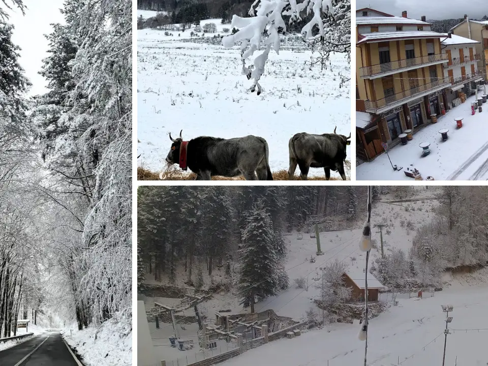 Calabria imbiancata, la magia della neve su Pollino e Sila. Fiocchi anche a Serre e Gambarie: la fotogallery