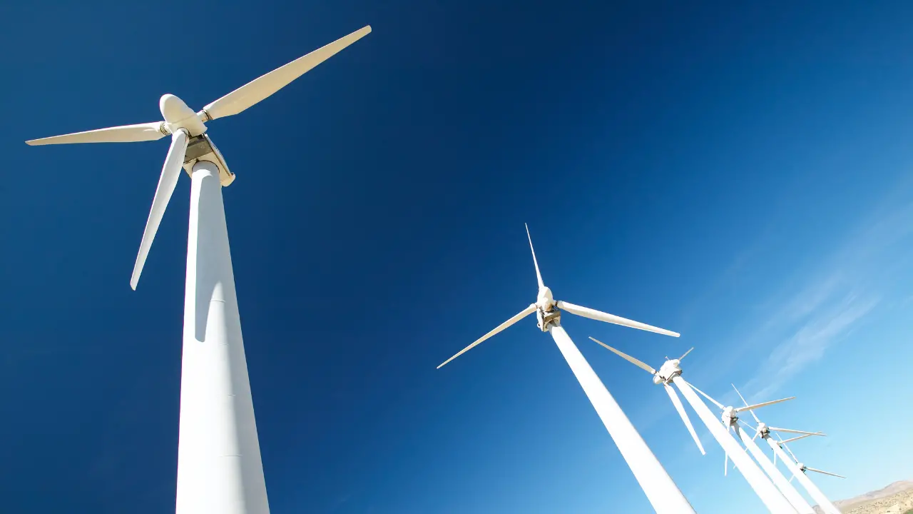 Preserre vibonesi, il Wwf contro un nuovo parco eolico: «Abbiamo già dato. Perché non lo fanno a casa loro in Alto Adige?»\n