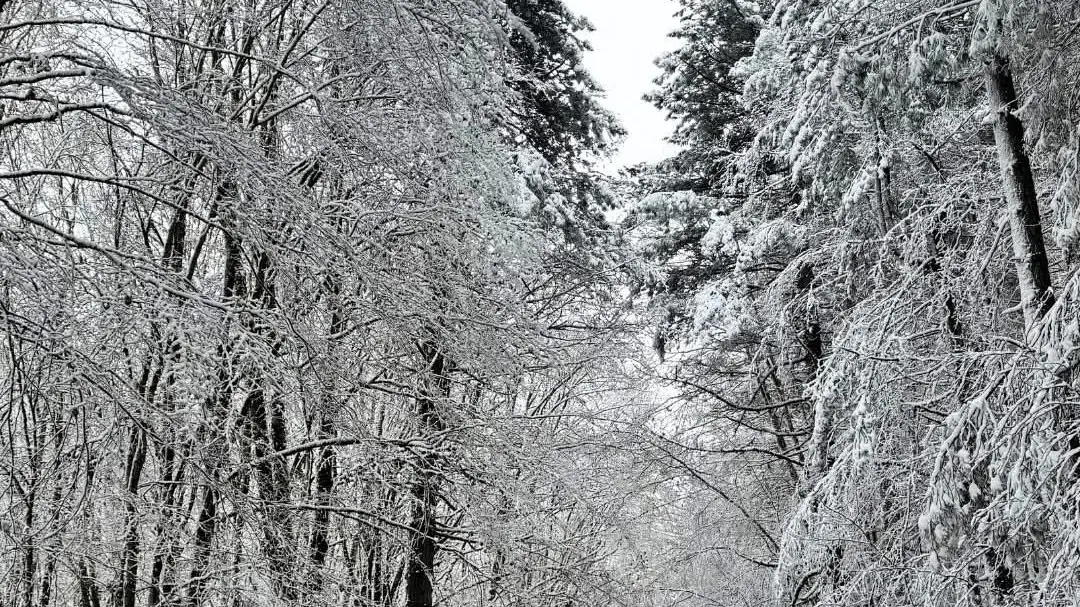 Ancora maltempo in Calabria, tra oggi e domani piogge e venti di tempesta. Arrivano anche gelo e neve\u00A0\n