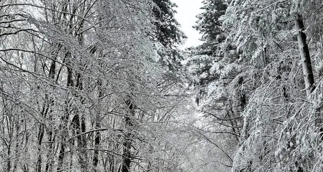 Ancora maltempo in Calabria, tra oggi e domani piogge e venti di tempesta. Arrivano anche gelo e neve\u00A0\n