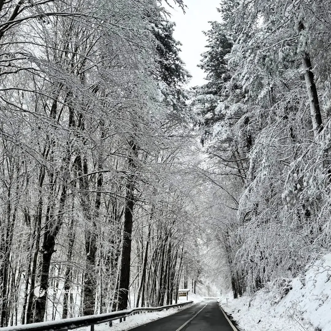 Ancora maltempo in Calabria, tra oggi e domani piogge e venti di tempesta. Arrivano anche gelo e neve\u00A0\n