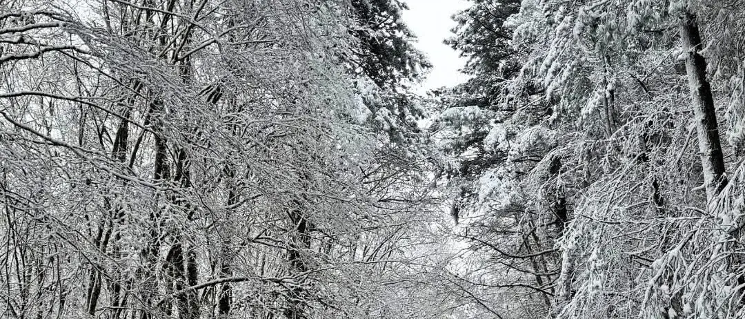 Ancora maltempo in Calabria, tra oggi e domani piogge e venti di tempesta. Arrivano anche gelo e neve\u00A0\n