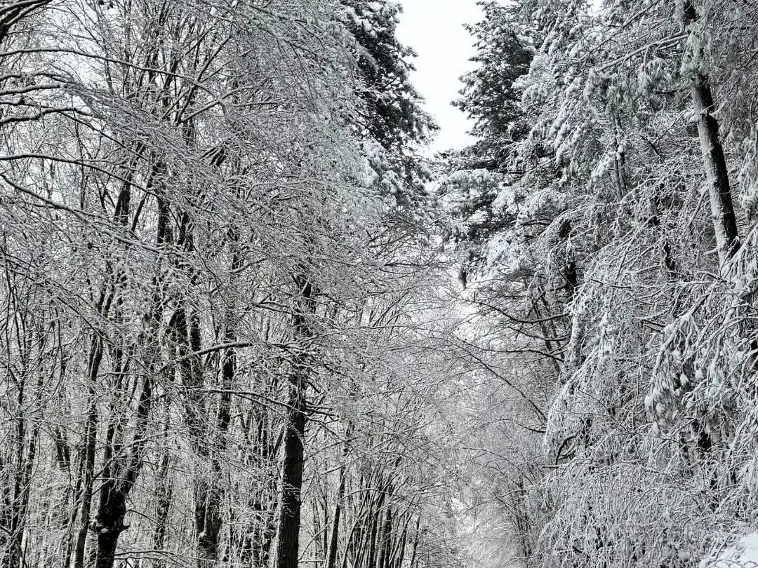 Ancora maltempo in Calabria, tra oggi e domani piogge e venti di tempesta. Arrivano anche gelo e neve