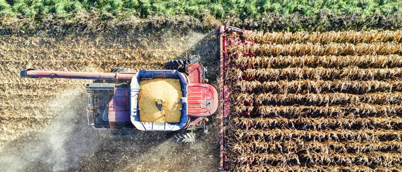 Mercosur riaccende la protesta degli agricoltori: dalla Sibaritide parte l’allarme sull’intesa con il Sud America\n