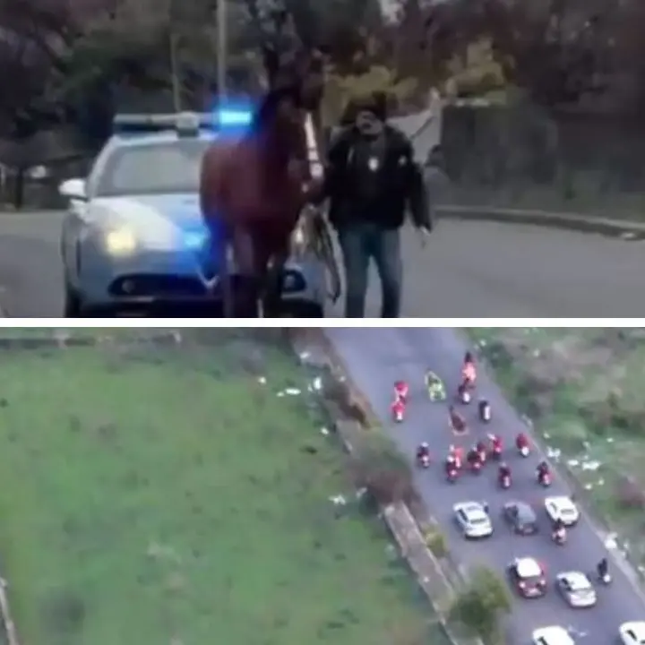 Corsa clandestina di cavalli nel Catanese: la polizia la segue coi droni e blocca tutto. Denunciate 15 persone\n