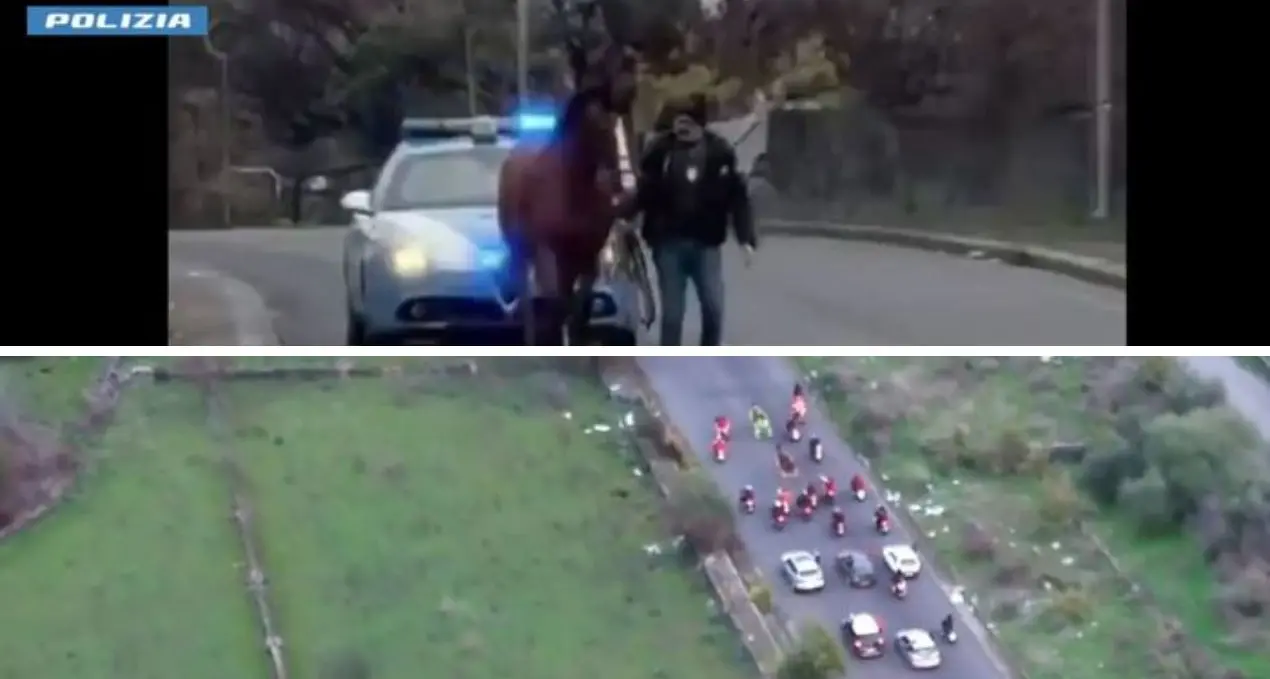 Corsa clandestina di cavalli nel Catanese: la polizia la segue coi droni e blocca tutto. Denunciate 15 persone\n