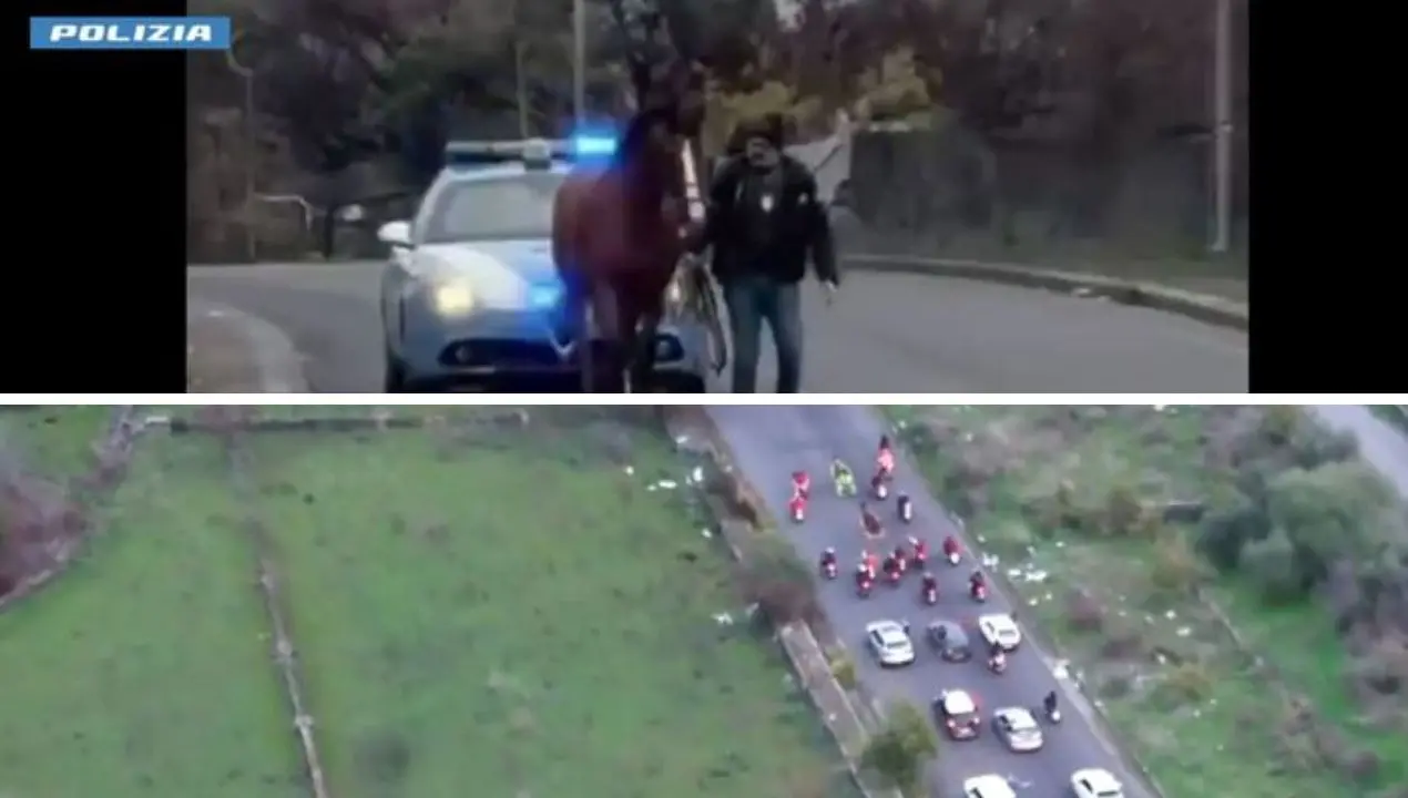 Corsa clandestina di cavalli nel Catanese: la polizia la segue coi droni e blocca tutto. Denunciate 15 persone\n