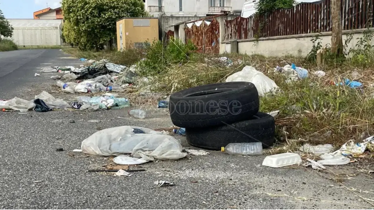 Vibo, i 200mila euro ottenuti dalla Regione serviranno a pulire la zona industriale e l’area della piscina comunale\n