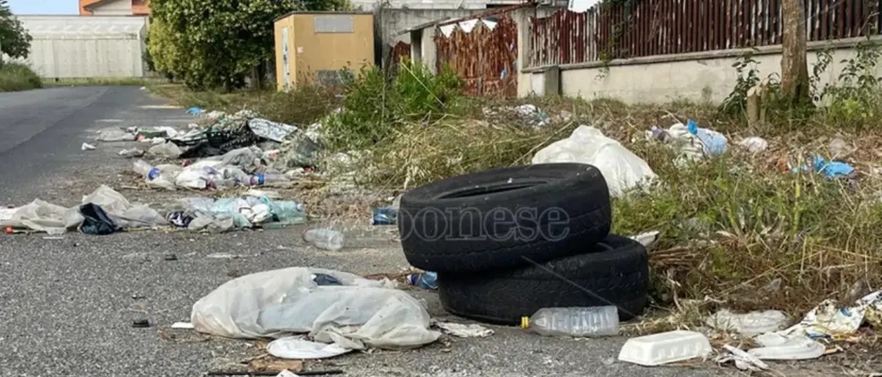 Vibo, i 200mila euro ottenuti dalla Regione serviranno a pulire la zona industriale e l’area della piscina comunale\n