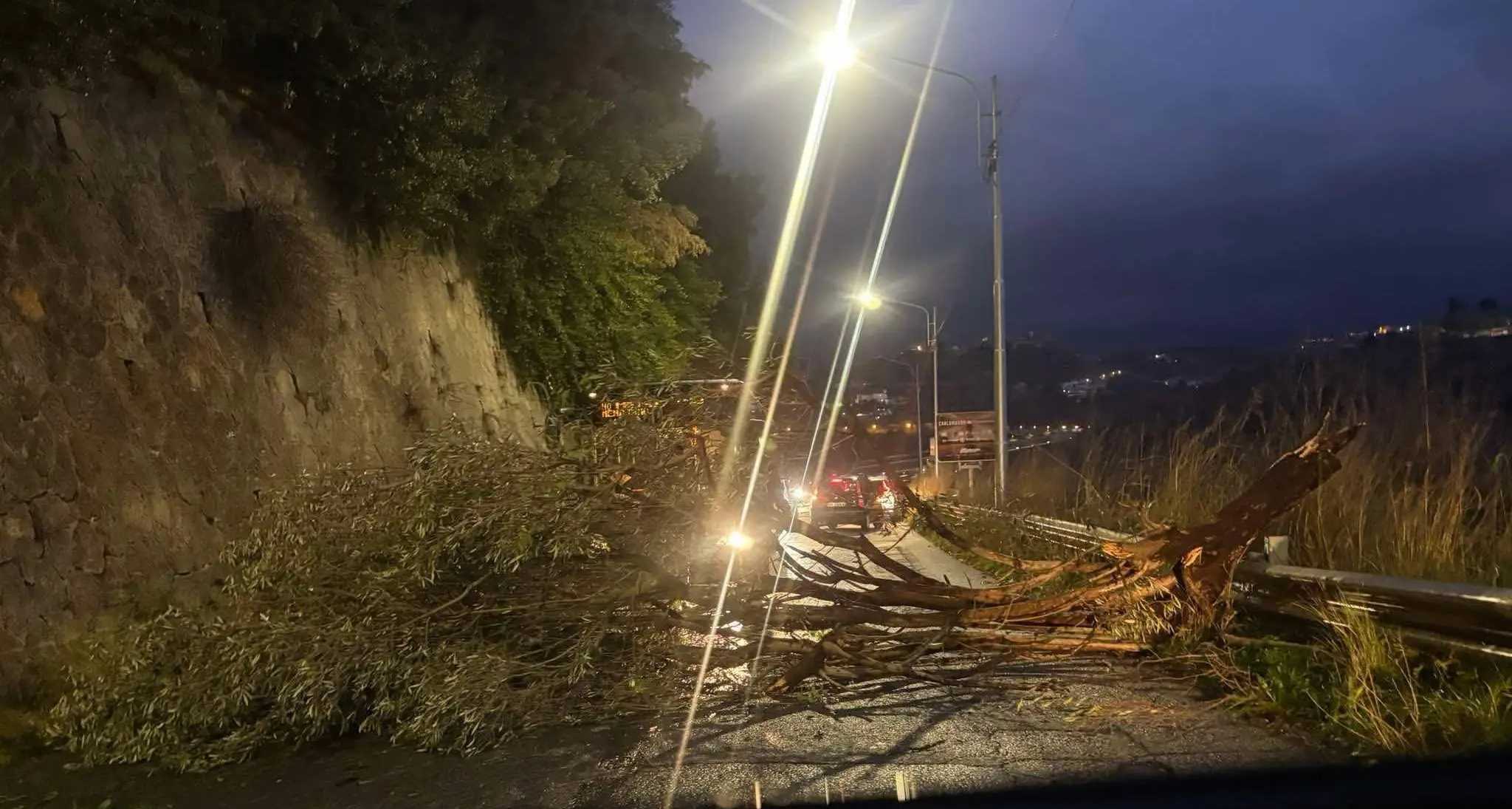 Forte vento nel Cosentino, albero cade sulla strada tra Mendicino e Cosenza\n