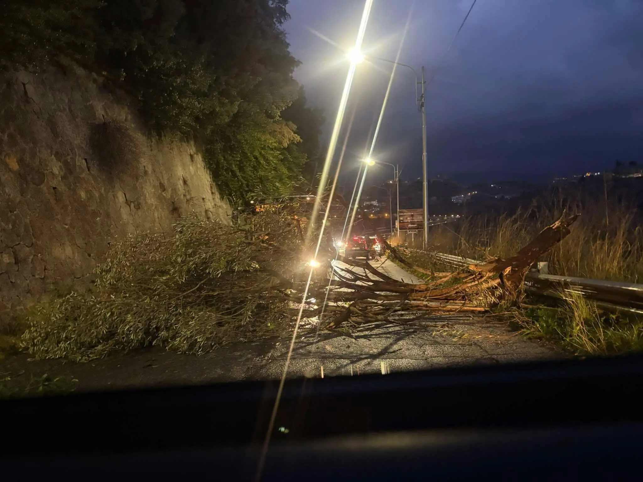 Forte vento nel Cosentino, albero cade sulla strada tra Mendicino e Cosenza\n
