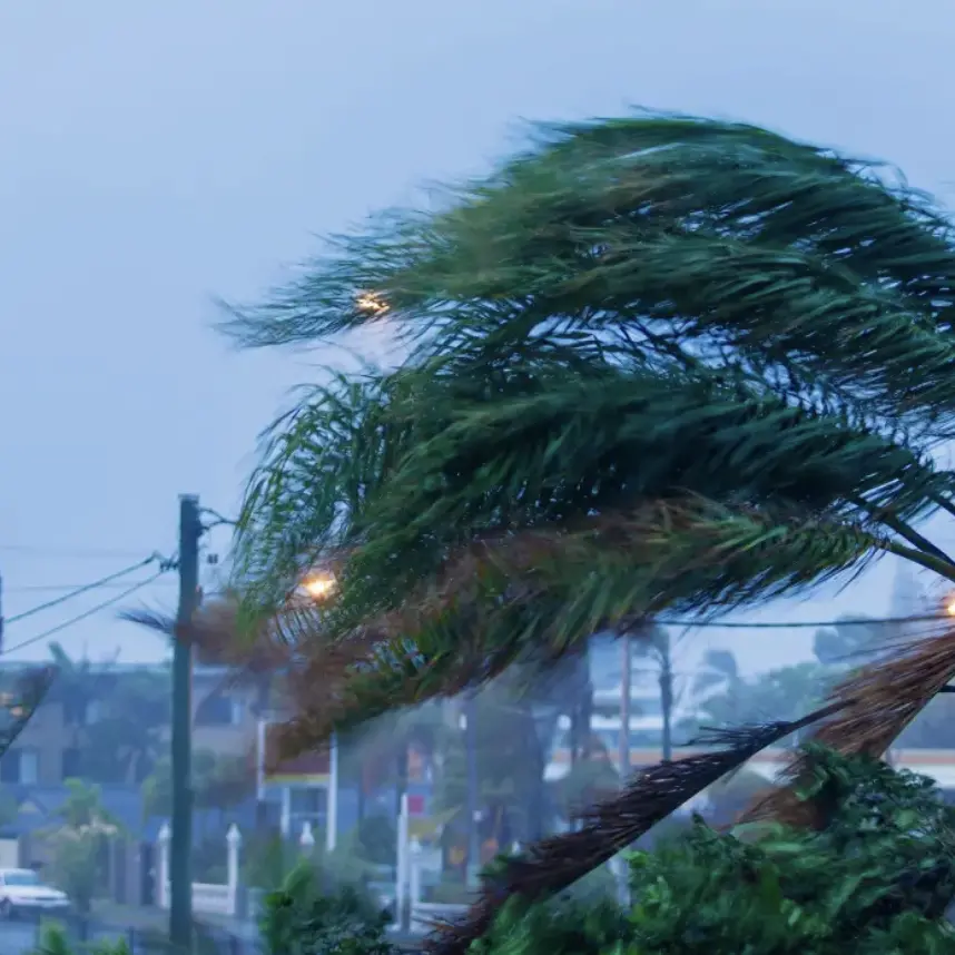Tempesta di vento in Calabria: raffiche fino a 179 km/h, in arrivo freddo e neve sui monti\n