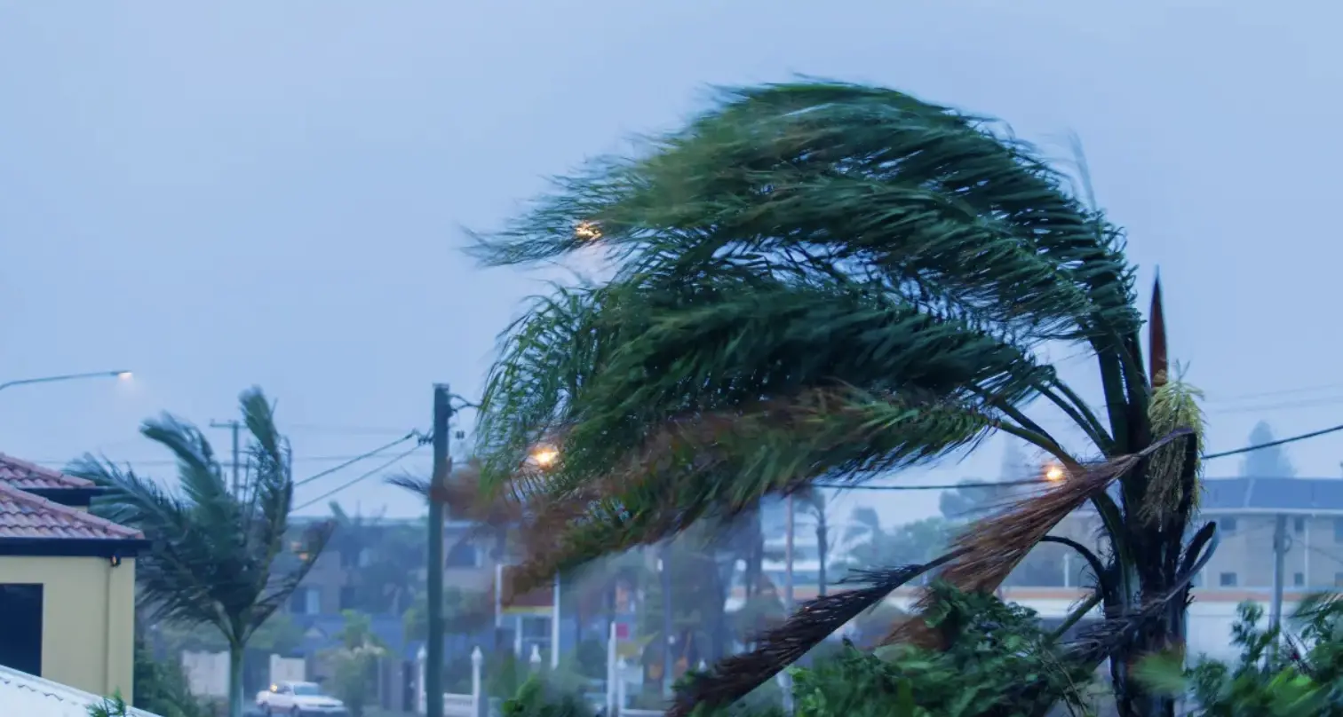 Tempesta di vento in Calabria: raffiche fino a 179 km/h, in arrivo freddo e neve sui monti\n