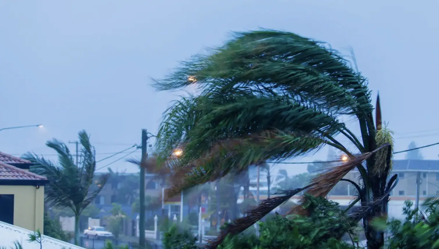 Tempesta di vento in Calabria: raffiche fino a 179 km/h, in arrivo freddo e neve sui monti\n