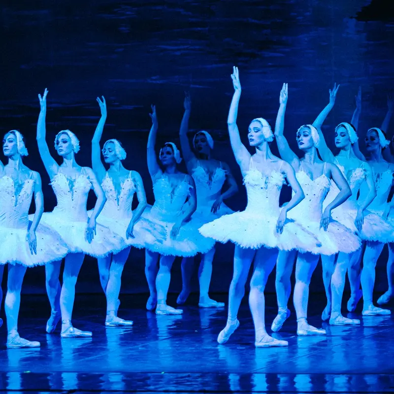 Reggio, al teatro Cilea l’incanto de Il Lago dei Cigni\n