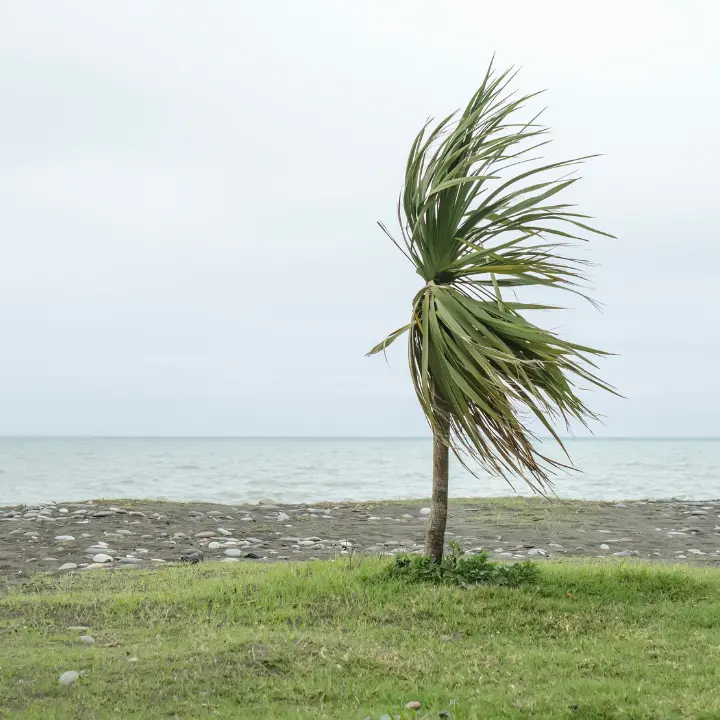Il Vibonese nella morsa del maltempo: venti di burrasca,\u00A0temporali e grandine. Sulle Serre torna la neve\n