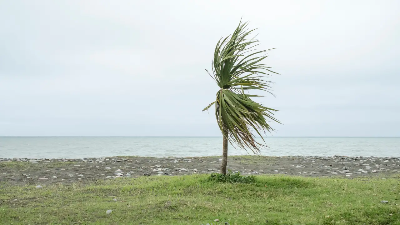 Il Vibonese nella morsa del maltempo: venti di burrasca,\u00A0temporali e grandine. Sulle Serre torna la neve\n