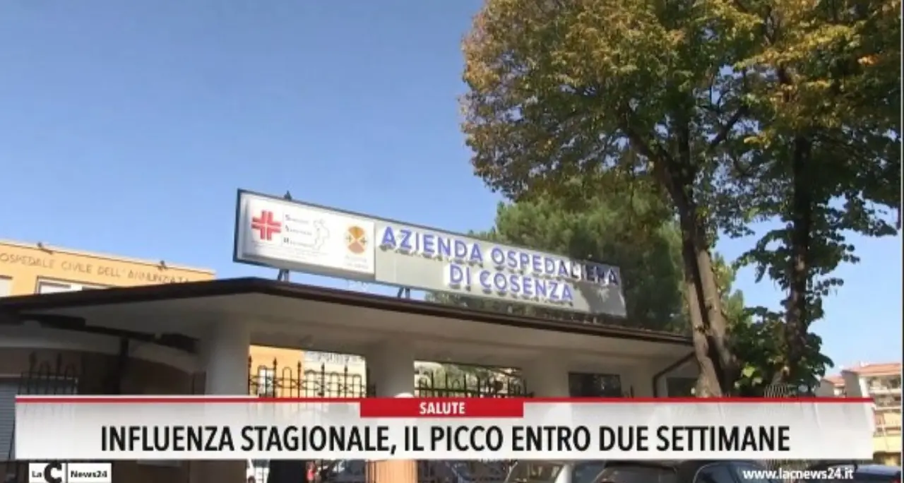 Influenza stagionale, il picco entro due settimane