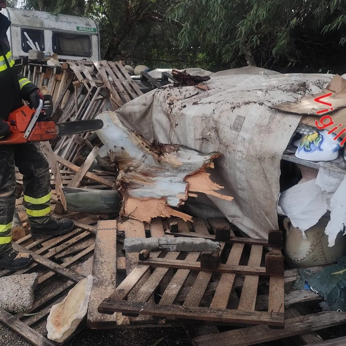 Rogliano,\u00A0albero abbattuto dal vento si riversa sulla carreggiata dell’A2