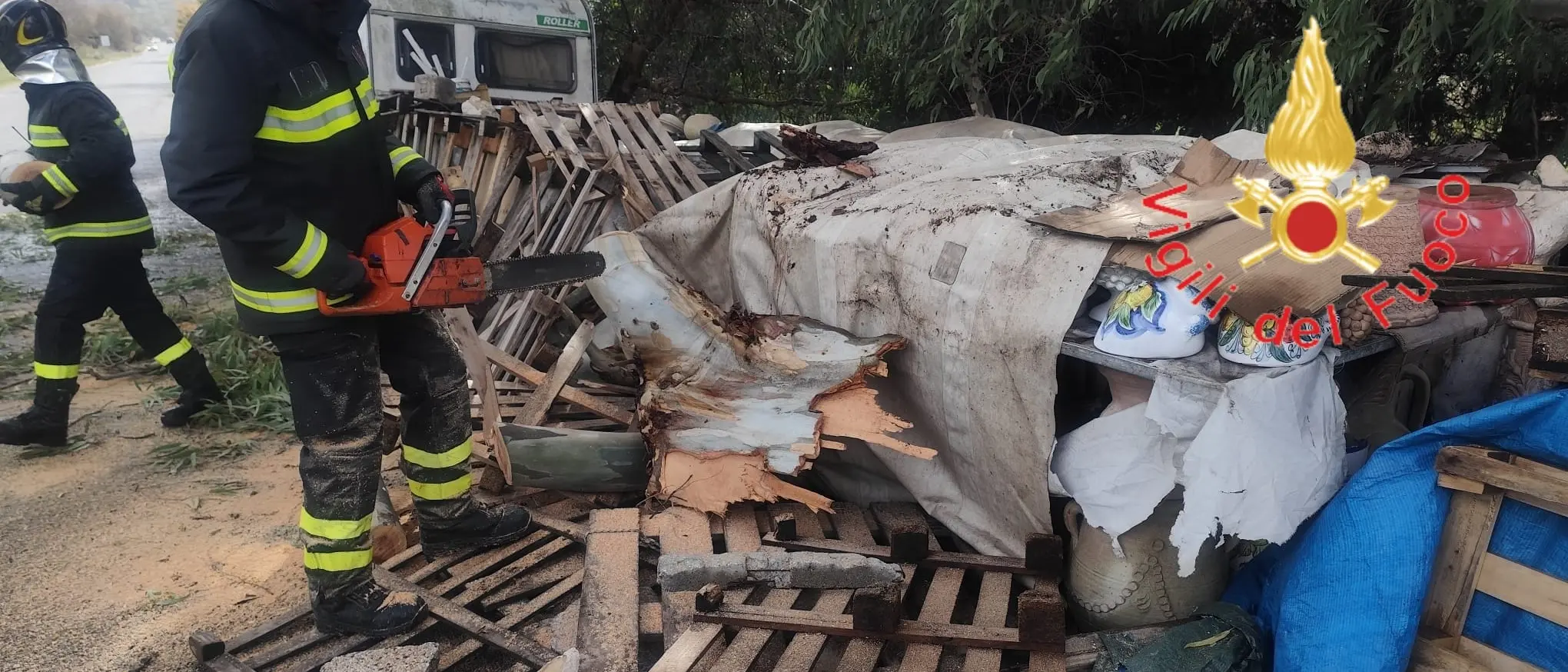 Rogliano,\u00A0albero abbattuto dal vento si riversa sulla carreggiata dell’A2