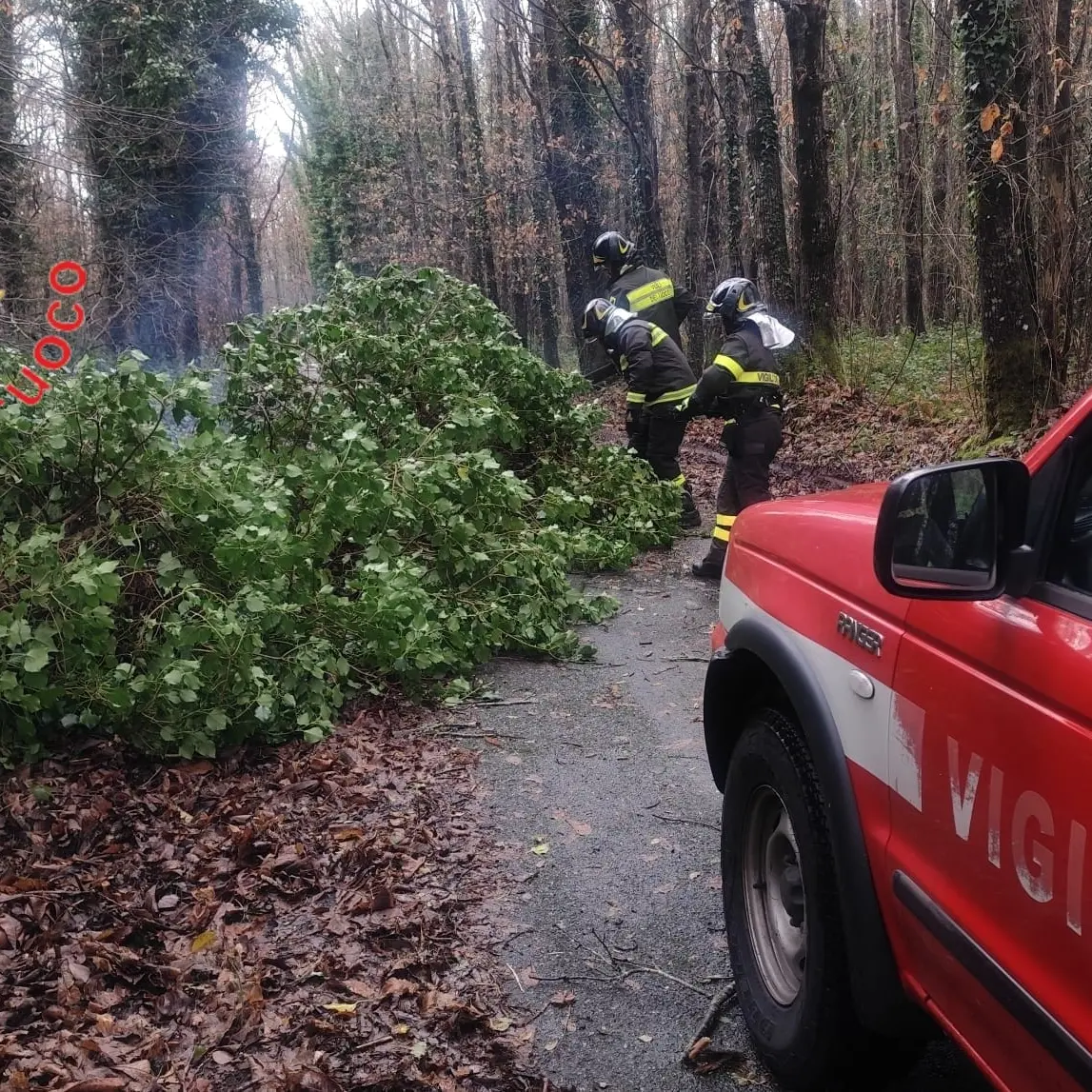 Maltempo in Calabria, Vigili del Fuoco richiamati in servizio: esempio di dedizione e senso del dovere\n