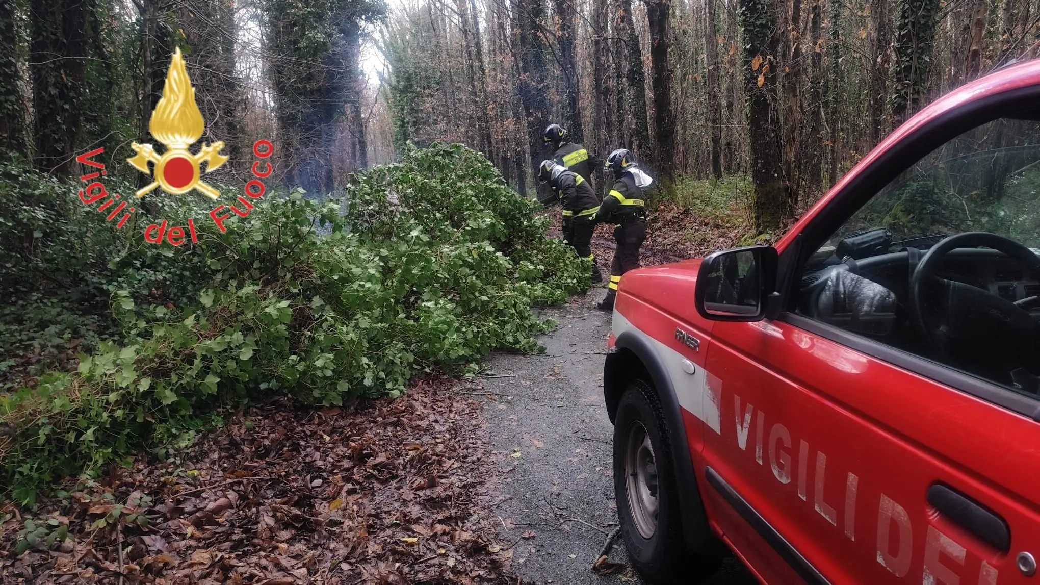Maltempo in Calabria, Vigili del Fuoco richiamati in servizio: esempio di dedizione e senso del dovere\n