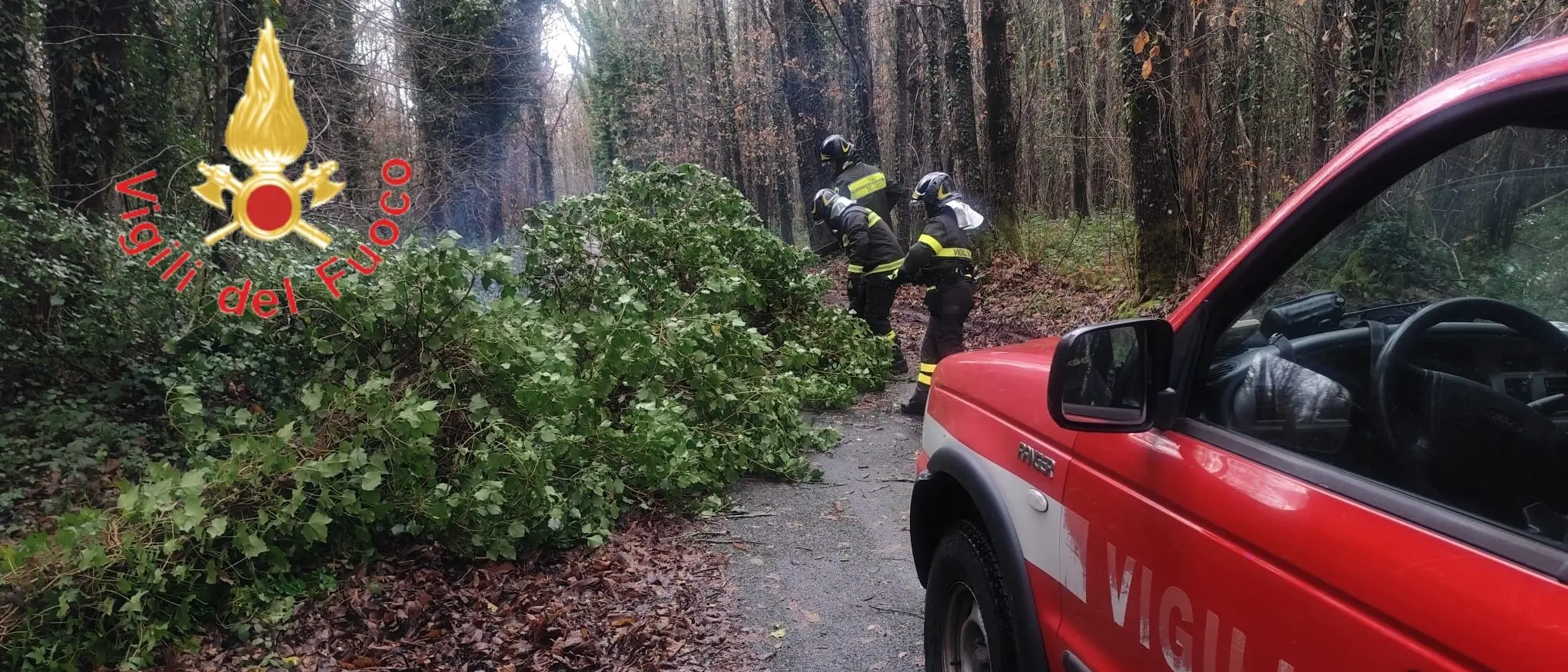 Maltempo in Calabria, Vigili del Fuoco richiamati in servizio: esempio di dedizione e senso del dovere\n