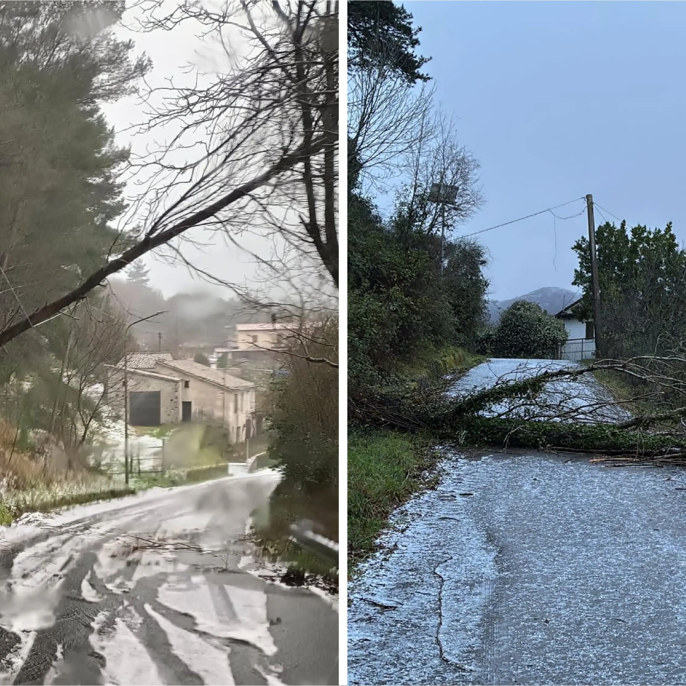 Situazioni critiche a Morano Calabro e Mormanno: linee Enel a terra e pericolo per i residenti\n