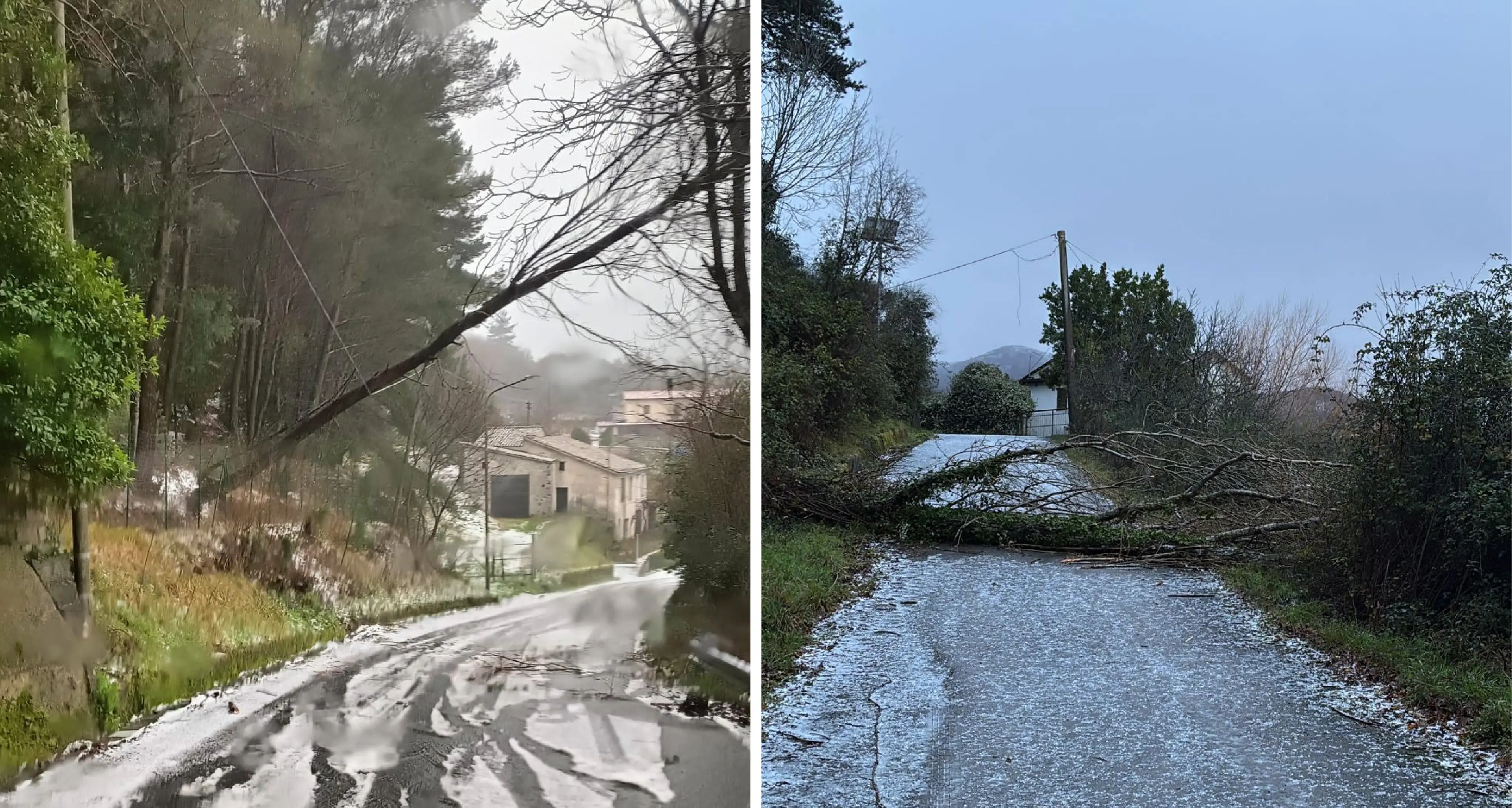 Situazioni critiche a Morano Calabro e Mormanno: linee Enel a terra e pericolo per i residenti\n