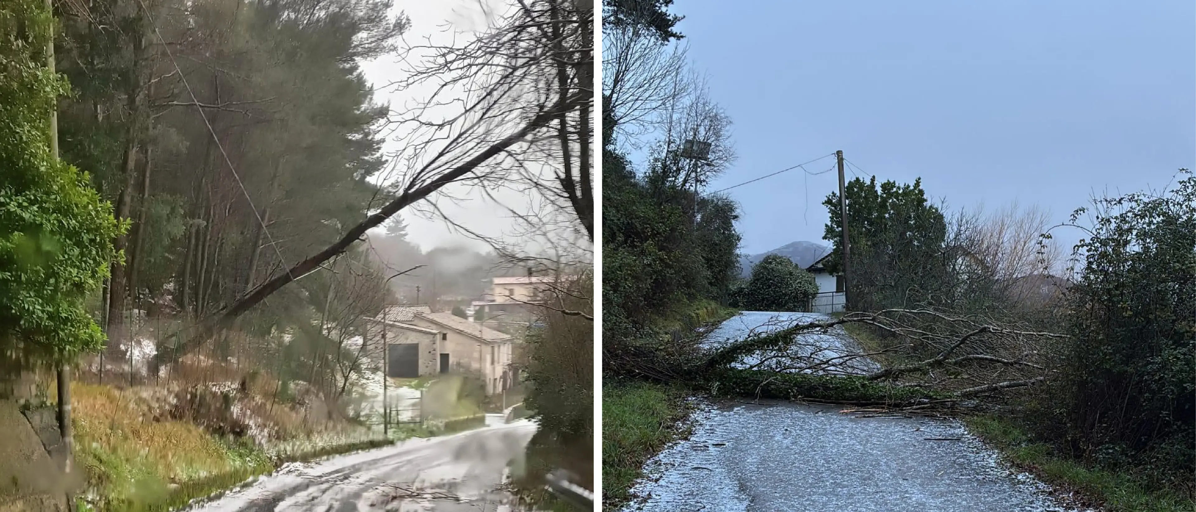 Situazioni critiche a Morano Calabro e Mormanno: linee Enel a terra e pericolo per i residenti\n