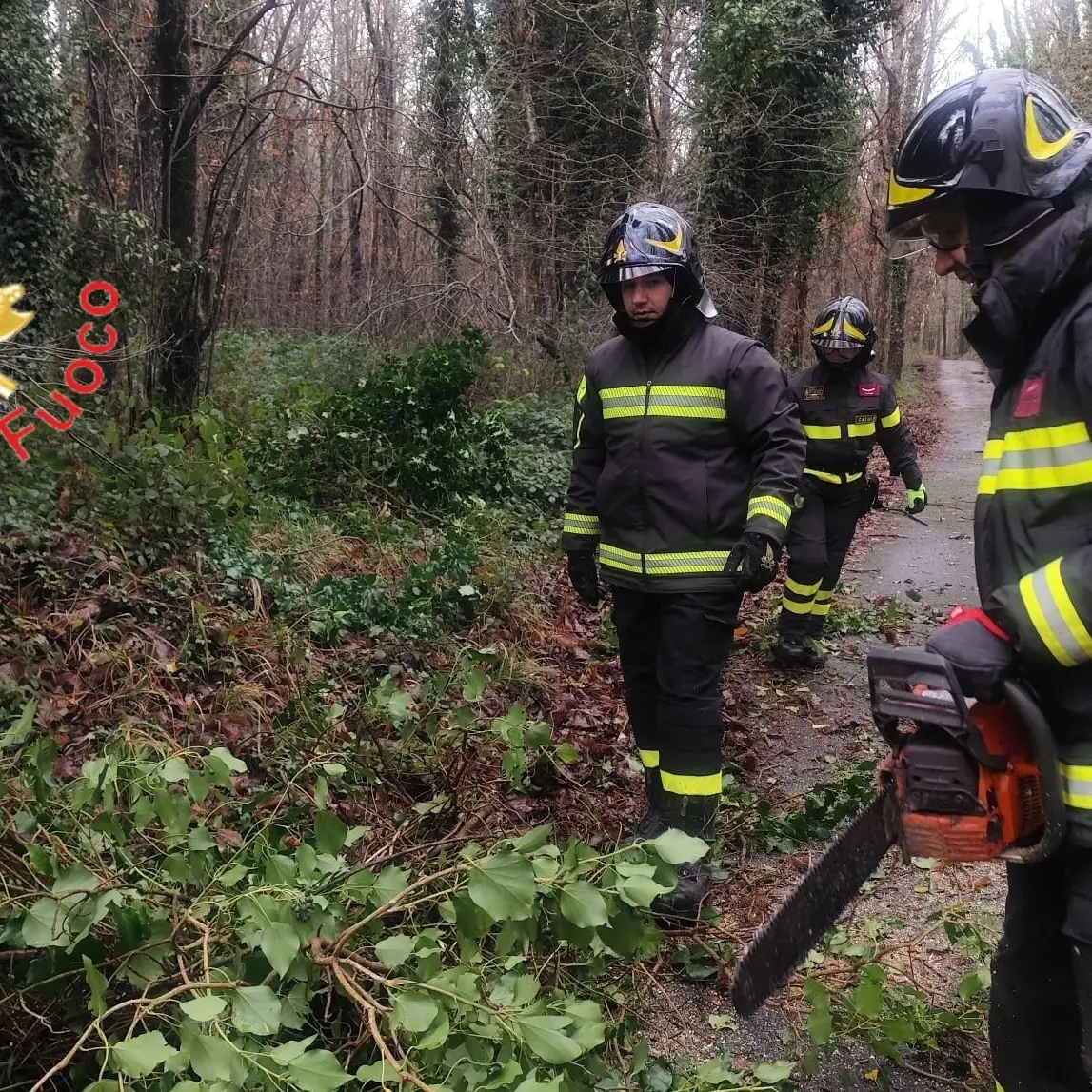 Cosenza nella bufera, squadra comunale al lavoro senza sosta per affrontare tutte le criticità\n