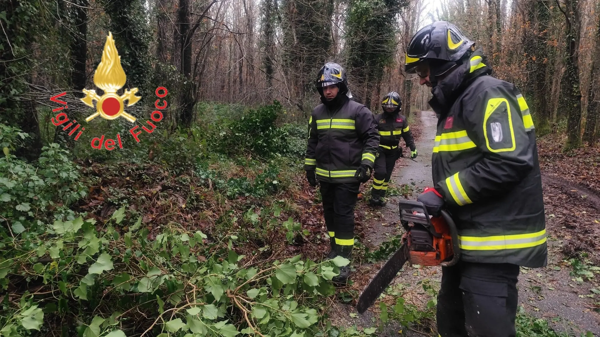 Cosenza nella bufera, squadra comunale al lavoro senza sosta per affrontare tutte le criticità\n