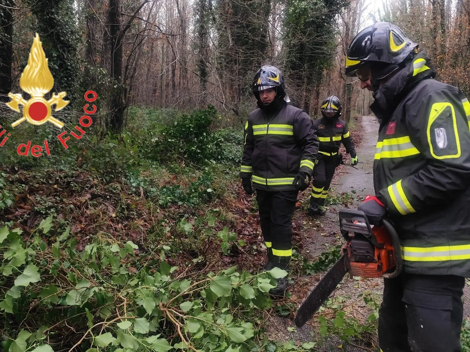 Cosenza nella bufera, squadra comunale al lavoro senza sosta per affrontare tutte le criticità