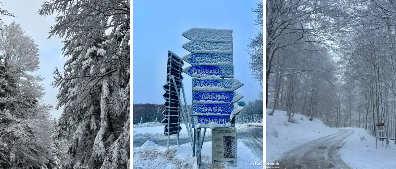 La neve torna a coprire le Serre: dalla Certosa a monte Pecoraro si riaccende la magia dell’inverno vibonese\n