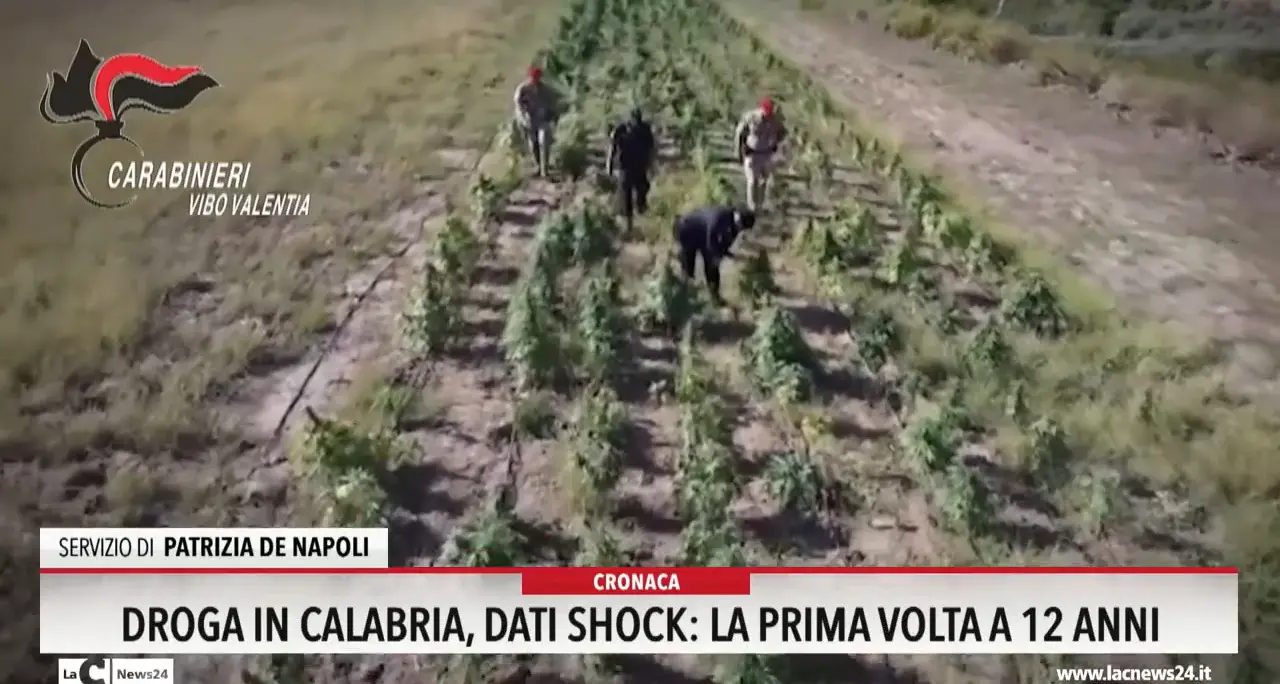 Droga in calabria, dati shock: la prima volta a 12 anni