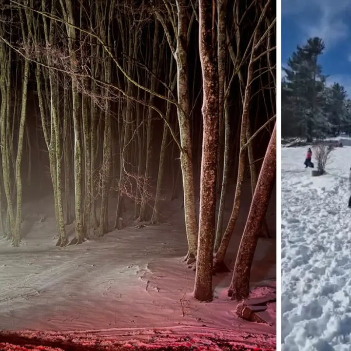 Neve in\u00A0Calabria dalla Sila all’Aspromonte, passando per le Serre vibonesi: a Camigliatello gattisti in azione per sistemare le piste\u00A0\n