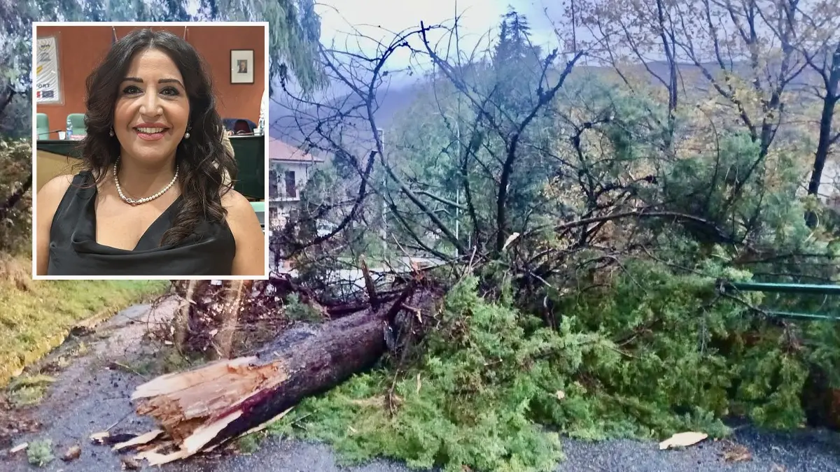 Rende, alberi caduti e allagamenti nel centro: Gallo chiede prevenzione e manutenzione\n