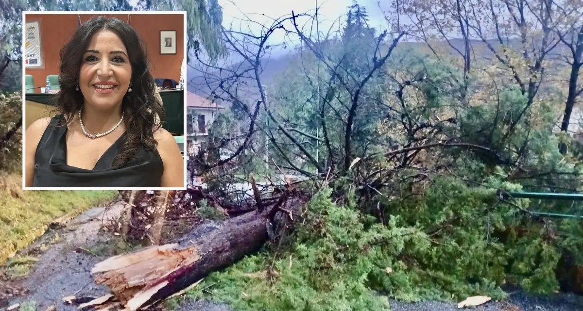 Rende, alberi caduti e allagamenti nel centro: Gallo chiede prevenzione e manutenzione\n