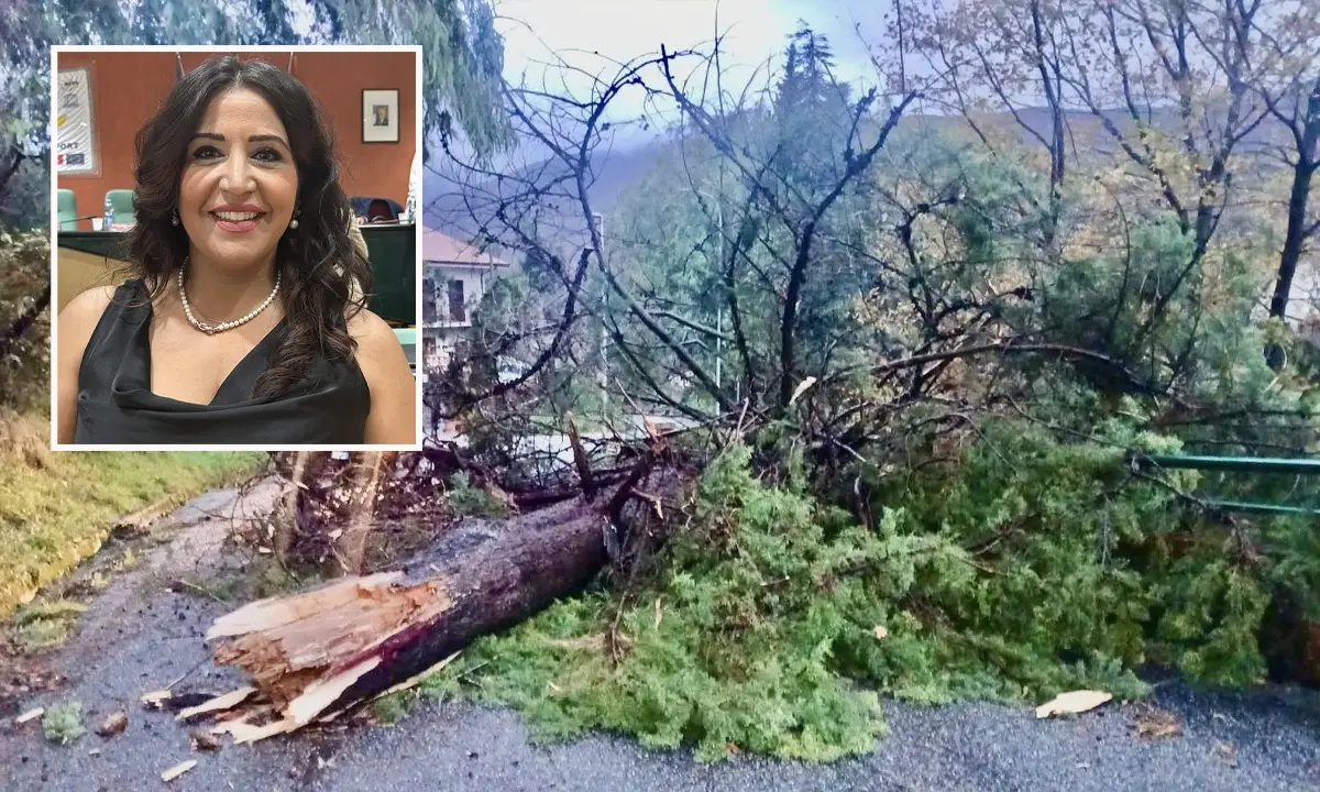 Rende, alberi caduti e allagamenti nel centro: Gallo chiede prevenzione e manutenzione\n