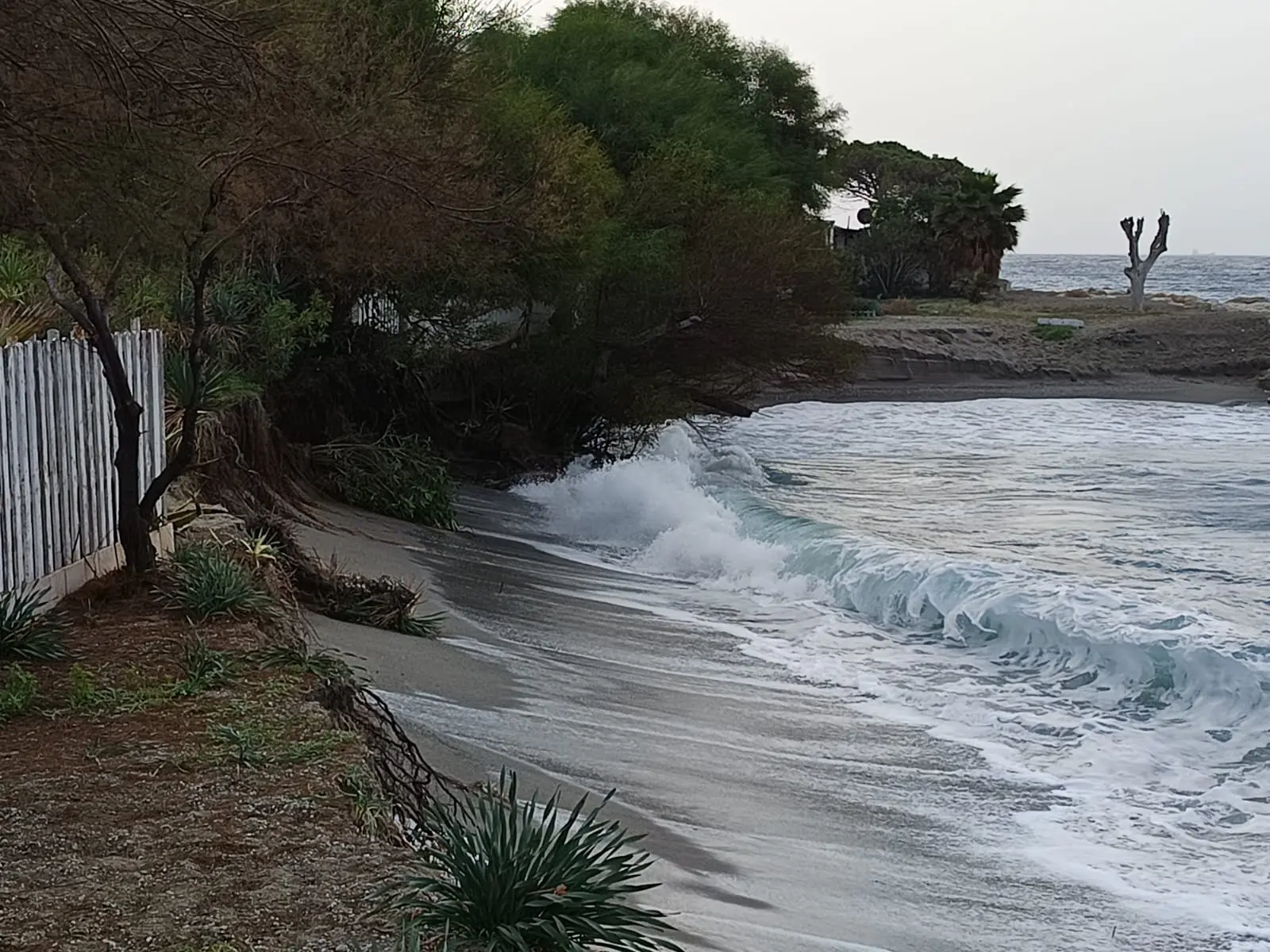 Bocale, Metrocity e Comune di Reggio in campo con interventi di somma urgenza e programmazione strutturale\n